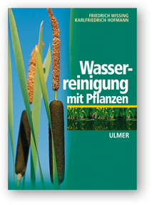 Wasserreinigung mit Pflanzen